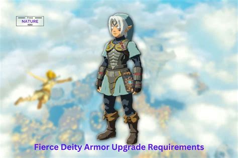 armor upgrade requirements totk.